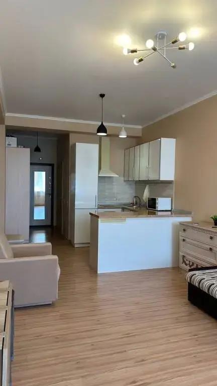 Uyutnaya Studiya na Mamayke Flat 0*