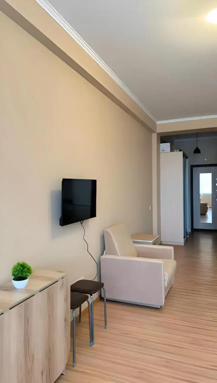 Uyutnaya Studiya na Mamayke Flat 0*