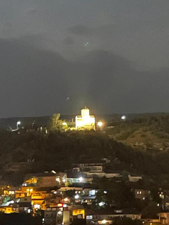 Natali Metekhi Palace Hotel 4*