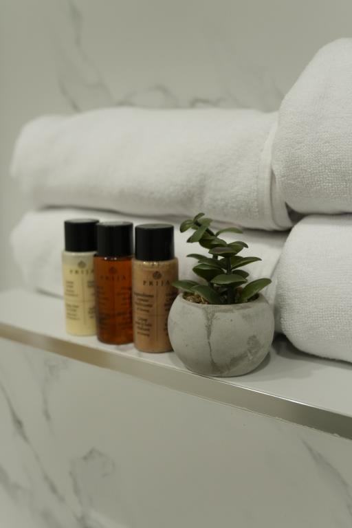 Hotel Ser In Hotel 4*