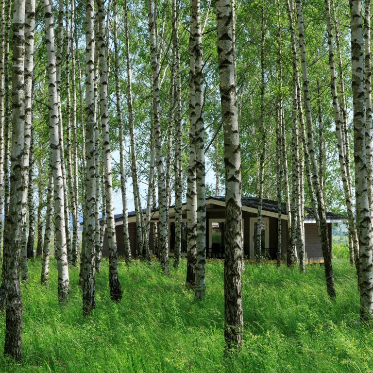 Glamping Norke Yeseninskaya Rus 0*
