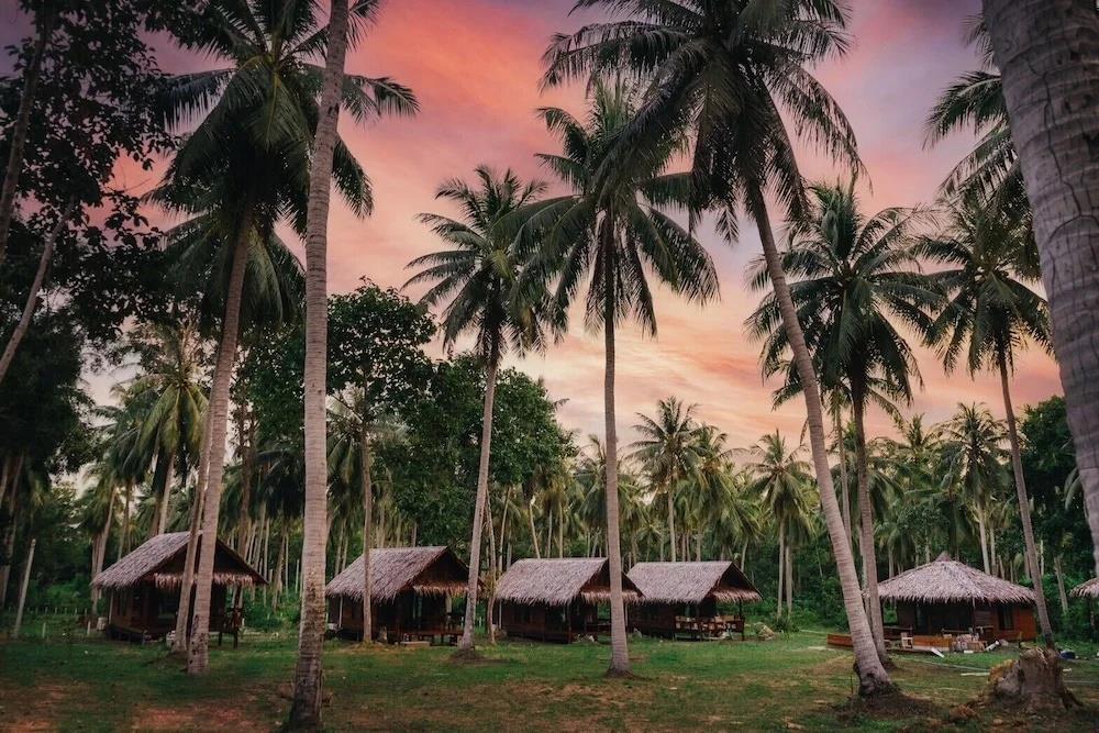 COCO Canopy Boutique Resort 3*