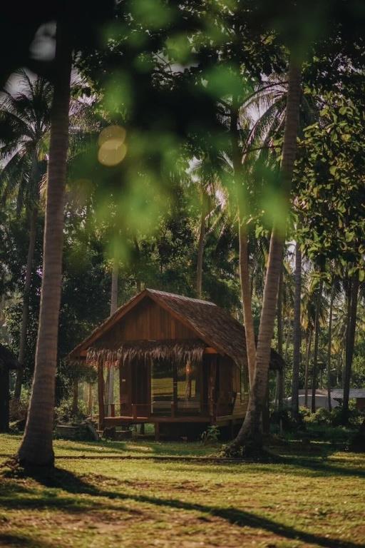 COCO Canopy Boutique Resort 3*