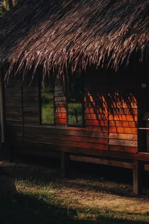 COCO Canopy Boutique Resort 3*