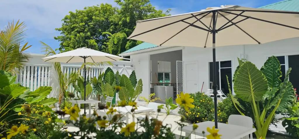 Bed&Breakfast Avi Guesthouse 0*