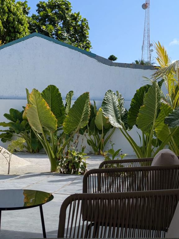 Bed&Breakfast Avi Guesthouse 0*
