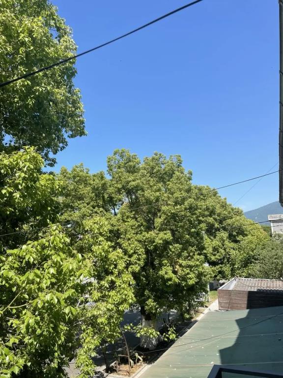 Uyutnaya Studiya ryadom s Morem , v Tsentre Gagry Flat 0*