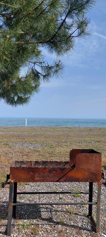 Sosnovy Bor Resort 0*