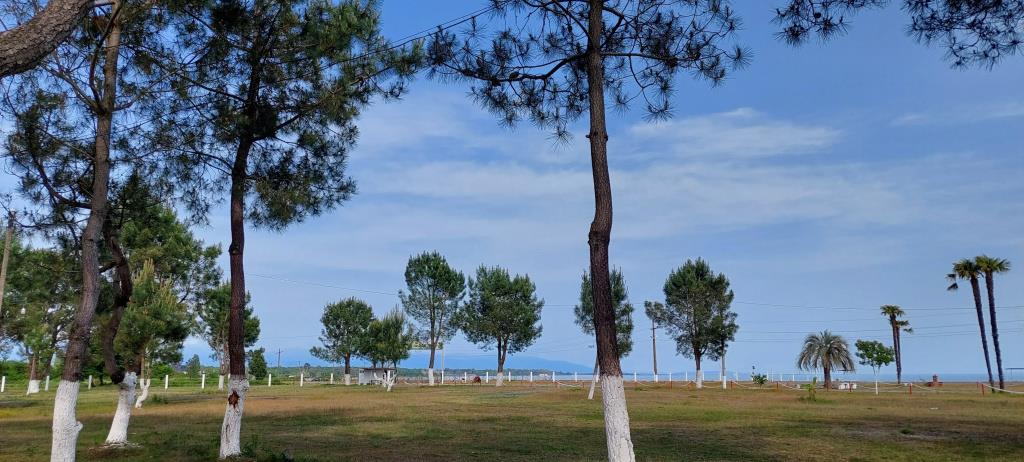 Sosnovy Bor Resort 0*