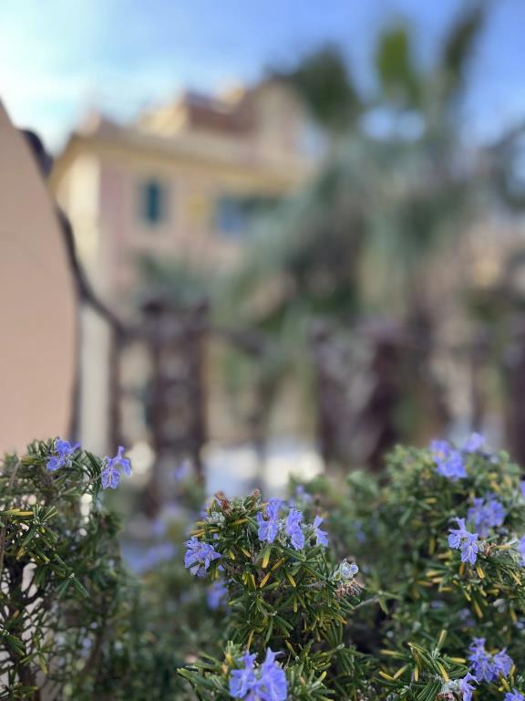 Bed&Breakfast Boutique B&B Barocchetto Romano Ostia Lido 0*