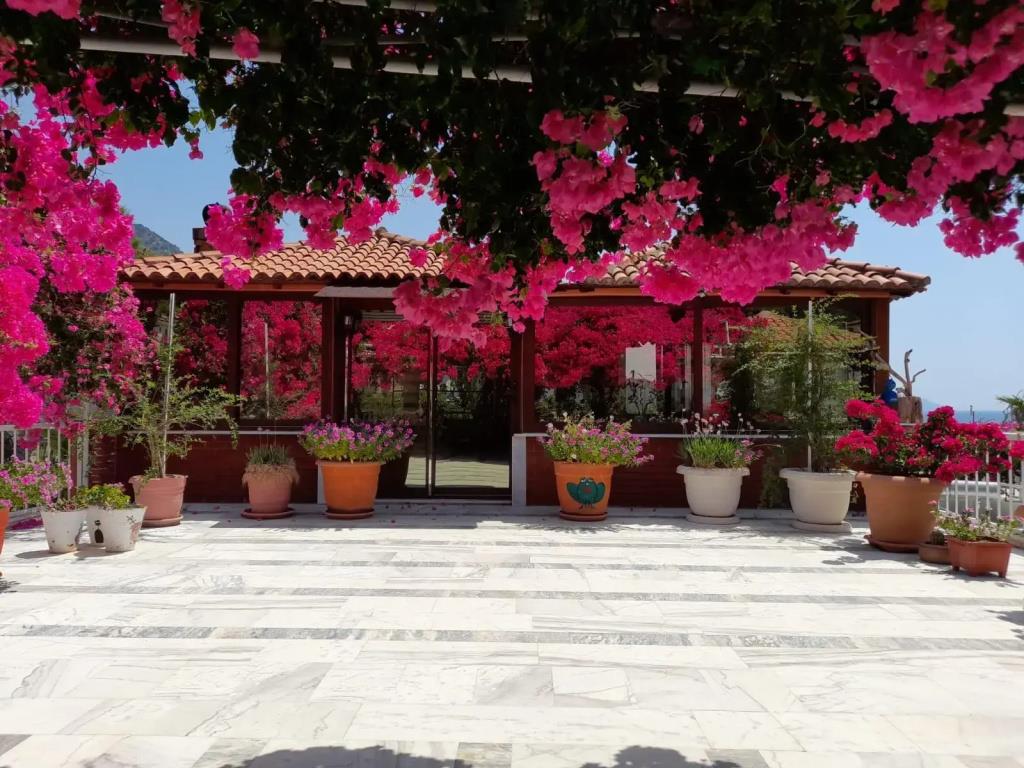 Akdeniz Pansiyon Bed&Breakfast 0*