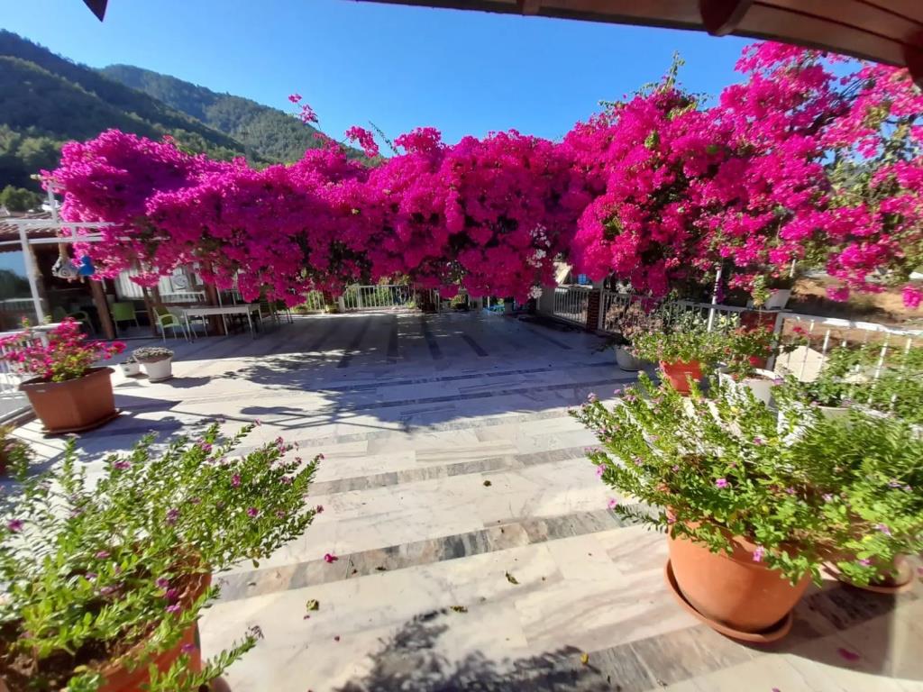 Akdeniz Pansiyon Bed&Breakfast 0*