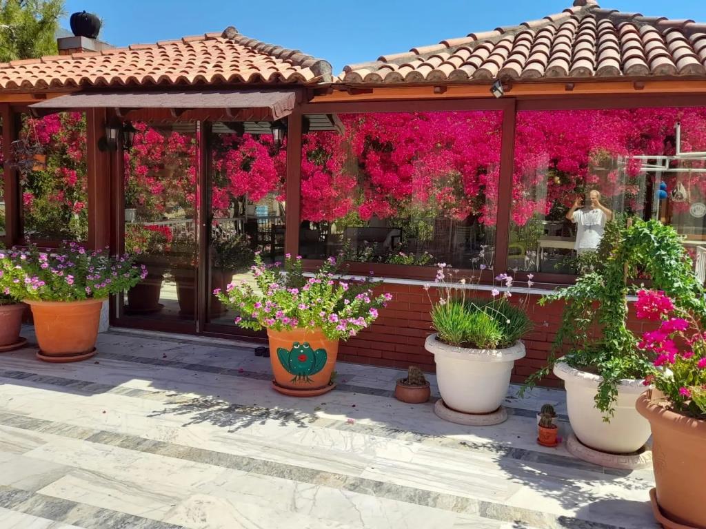 Akdeniz Pansiyon Bed&Breakfast 0*