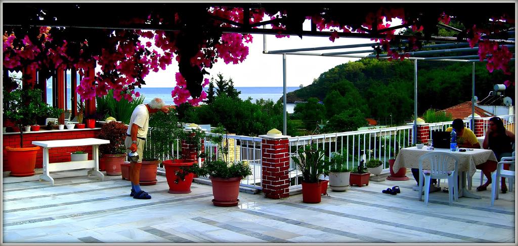 Akdeniz Pansiyon Bed&Breakfast 0*
