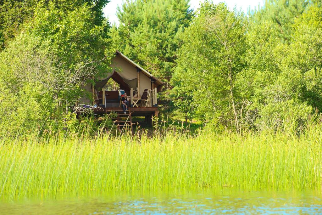 Toropolis Recreation Camp 0*