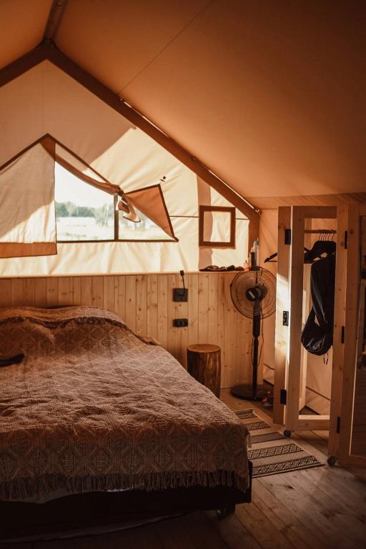 Toropolis Recreation Camp 0*