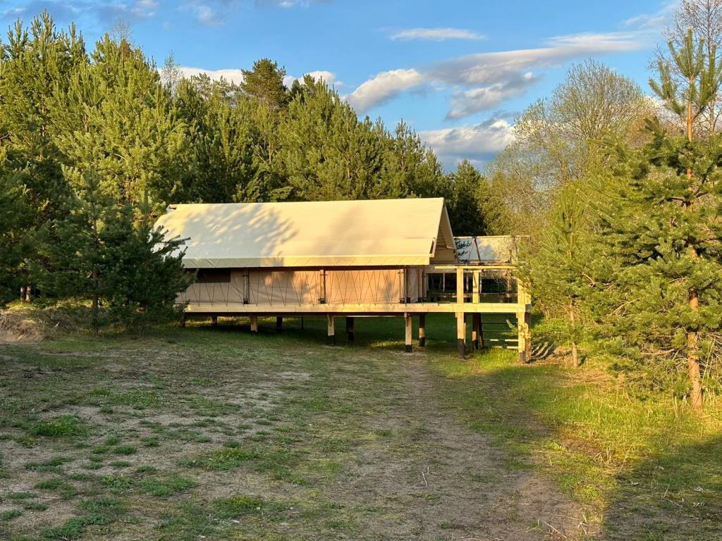 Toropolis Recreation Camp 0*