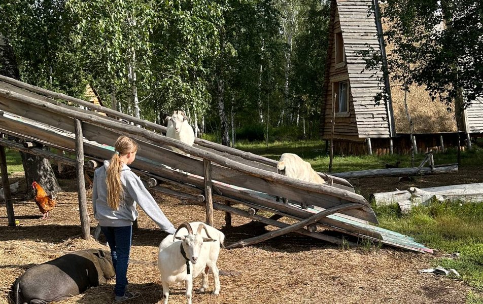 «Веселая ферма» база отдыха 1*