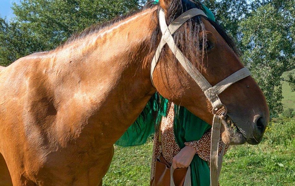 «Берег Неба» глэмпинг 2*