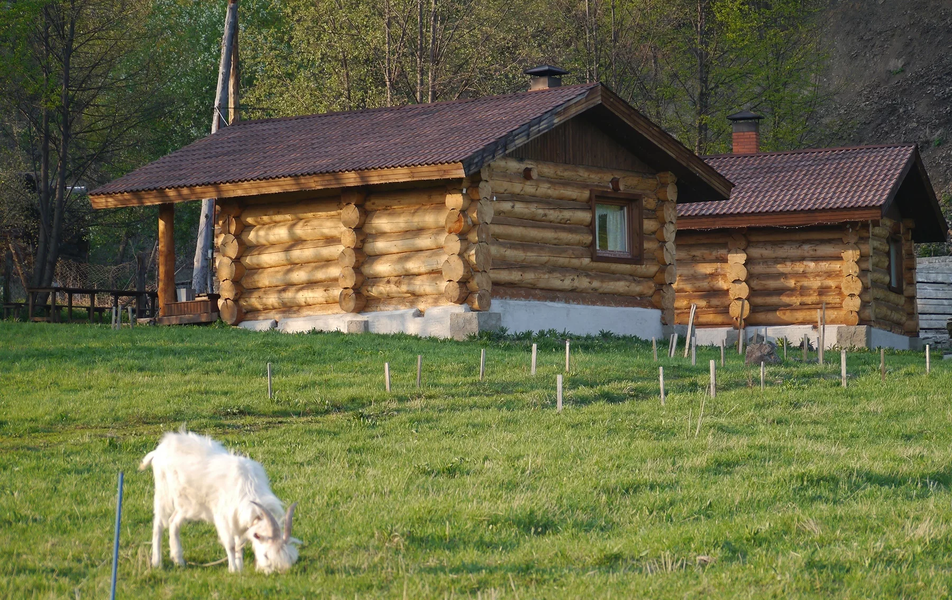 «Сокол» усадьба 1*