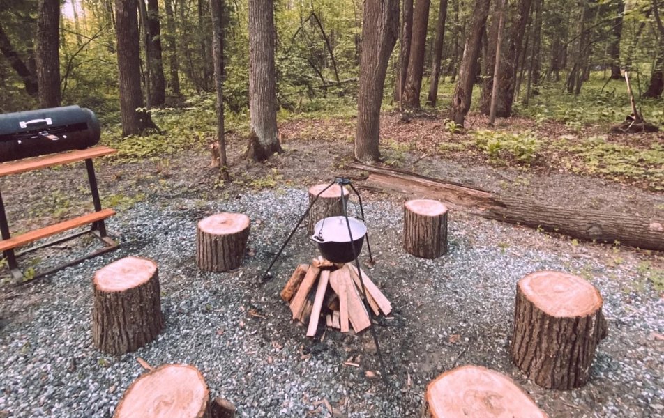 «Holiday park» \/ «Холидей парк Лесная усадьба» база отдыха 2*