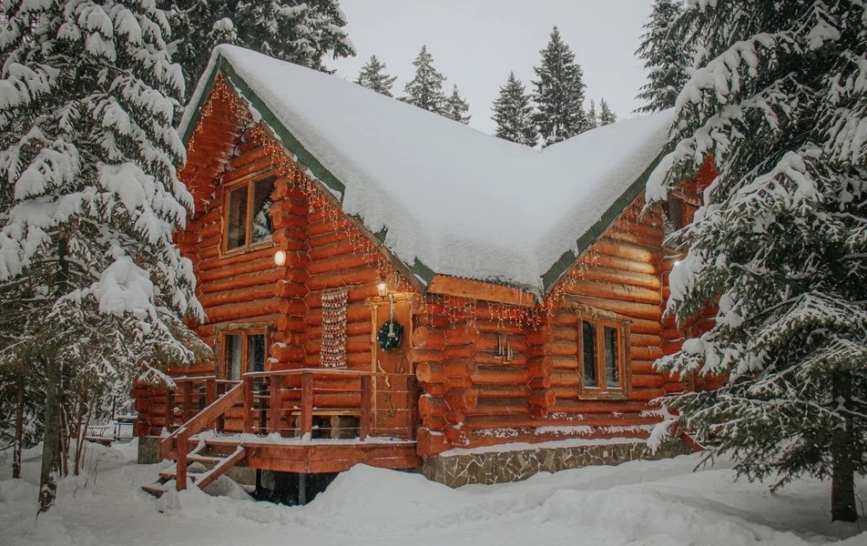 «Holiday park» \/ «Холидей парк Лесная усадьба» база отдыха 2*