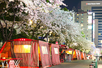 Lotte Hotel Busan 5*