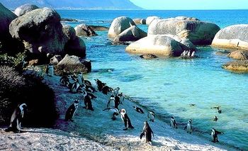 Simon's Town Quayside Hotel 3*