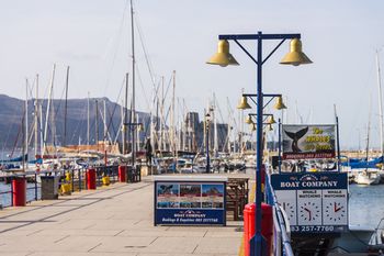 Simon's Town Quayside Hotel 3*