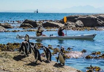 Simon's Town Quayside Hotel 3*