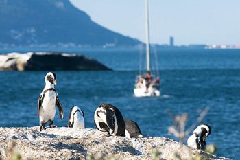 Simon's Town Quayside Hotel 3*