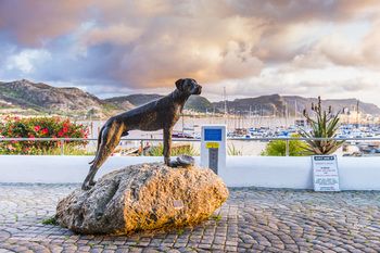 Simon's Town Quayside Hotel 3*