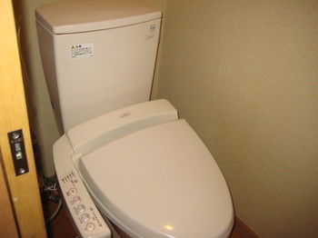 Mt. Fuji View Onsen Ooike Hotel 3*