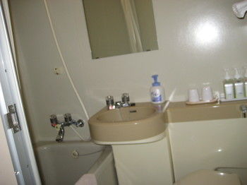 Mt. Fuji View Onsen Ooike Hotel 3*