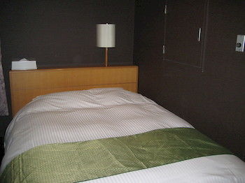 Mt. Fuji View Onsen Ooike Hotel 3*
