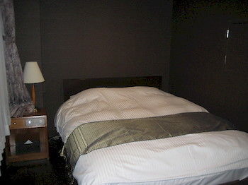 Mt. Fuji View Onsen Ooike Hotel 3*