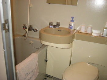 Mt. Fuji View Onsen Ooike Hotel 3*