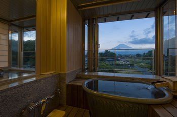 Mt. Fuji View Onsen Ooike Hotel 3*