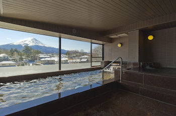 Mt. Fuji View Onsen Ooike Hotel 3*