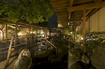 Mt. Fuji View Onsen Ooike Hotel 3*