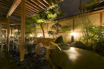 Mt. Fuji View Onsen Ooike Hotel 3*