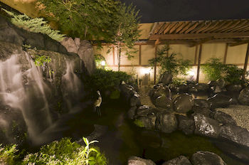 Mt. Fuji View Onsen Ooike Hotel 3*