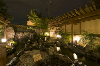 Mt. Fuji View Onsen Ooike Hotel 3*