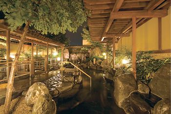 Mt. Fuji View Onsen Ooike Hotel 3*