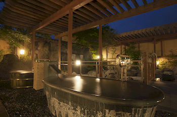 Mt. Fuji View Onsen Ooike Hotel 3*