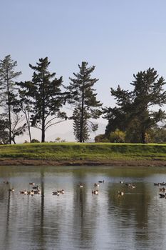 Devonvale Golf & Wine Estate 0*