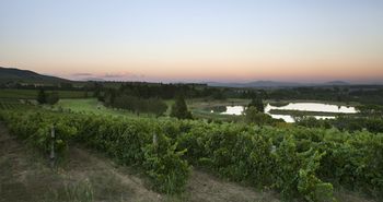 Devonvale Golf & Wine Estate 0*
