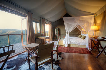 Camp Figtree 4*