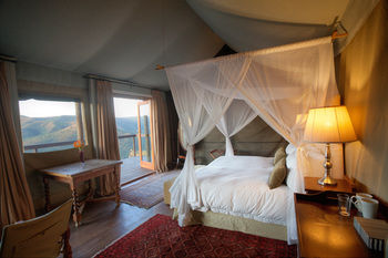 Camp Figtree 4*
