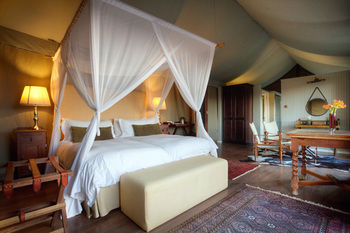 Camp Figtree 4*